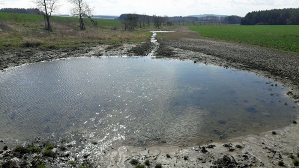 Lichovský potok na Plzeňsku meandruje v přírodním korytě a zadržuje vodu v krajině
