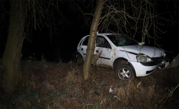 Řidič pod vlivem alkoholu nezvládl řízení a narazil do stromu a sloupu telefonního vedení