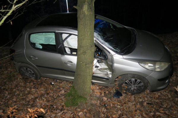 Opilý řidič vyletěl s autem ze zatáčky a narazil do vzrostlého stromu