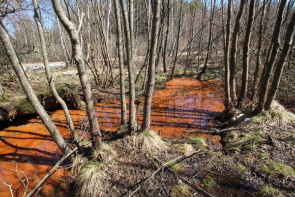 Průzkum minerálních pramenů Slavkovského lesa odhalil skryté přírodní bohatství