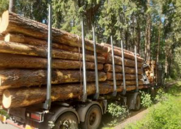 Agresivita v lese: Lesní cesty nepatří jen veřejnosti